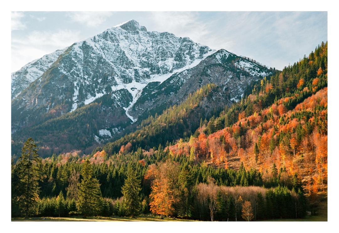 image 36081 by gloomygrain