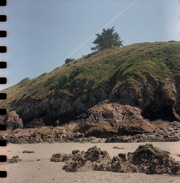 First Roll of 120. (Semflex 3.5, Kodak Vision3 250d)