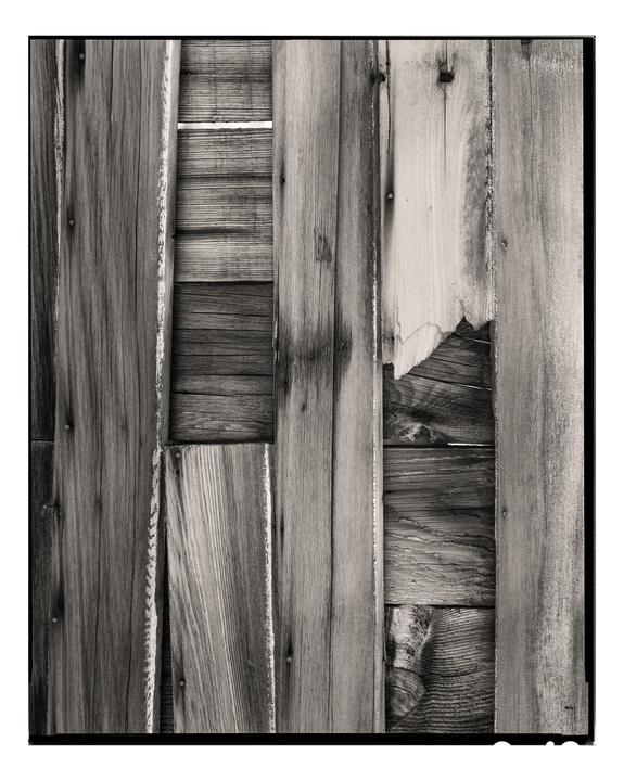 Staring at textures, one of the hazards of 8x10. (HP5+, Symmar 240mm, Alpinist X)