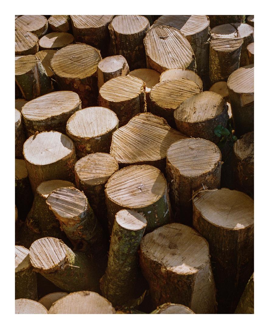 🪵 Canon AV-1|50mm F1.4|Fuji C200, shot on canon av-1 with fujifilm fujicolor c200