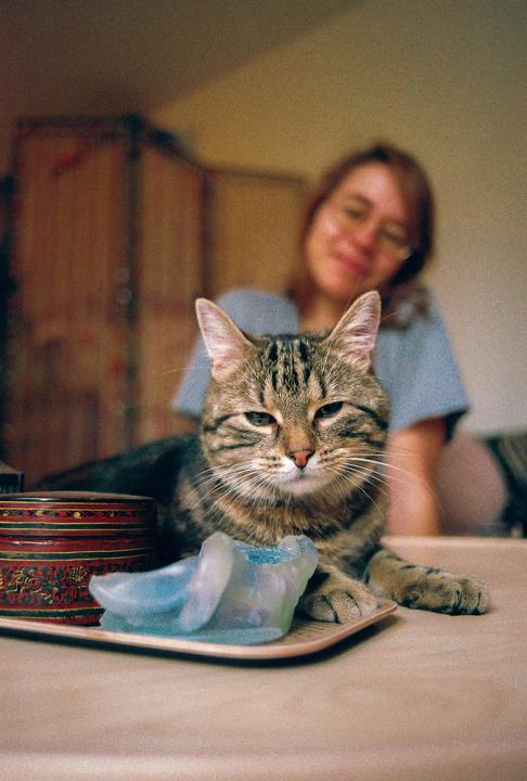 A day with Otto. Canon AE-1 50mm f1.8 & 28mm f2.8 | Portra 800