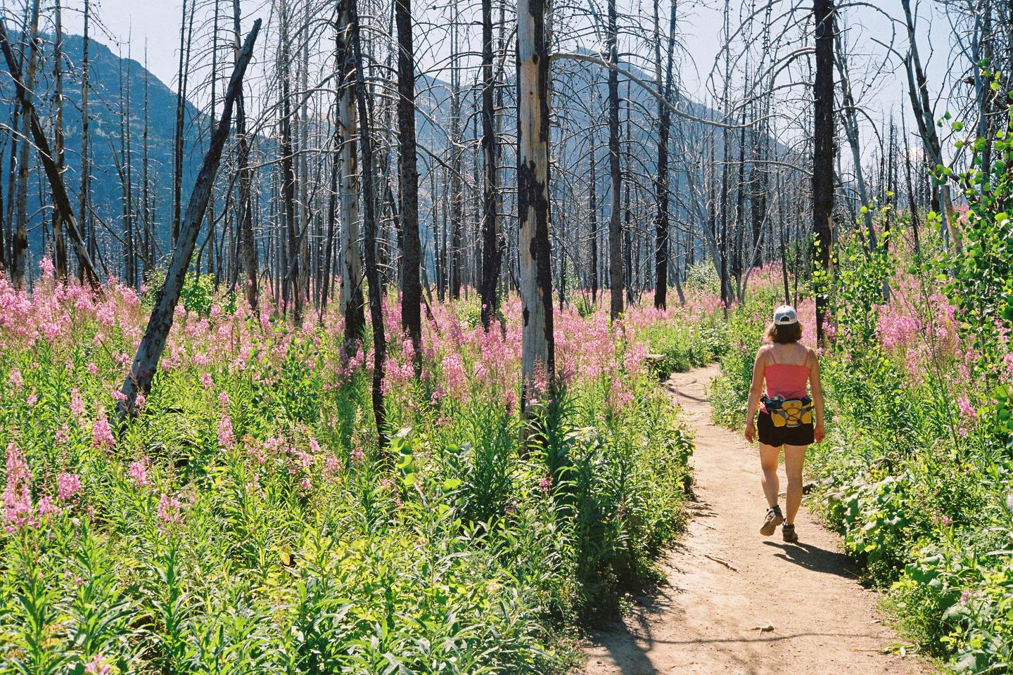 image 36921 by Famous_Wafer2521