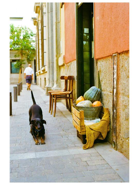 September in Madrid [Pentax K1000, Kodak Gold 200 and Fujifilm 400]