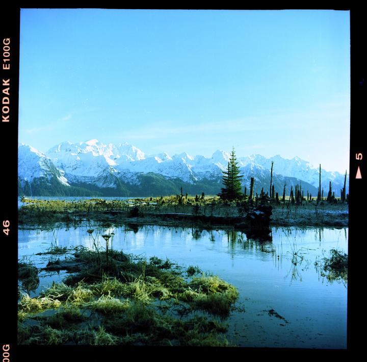 the flats [yashica a, ektachrome, cross processed in c-41]