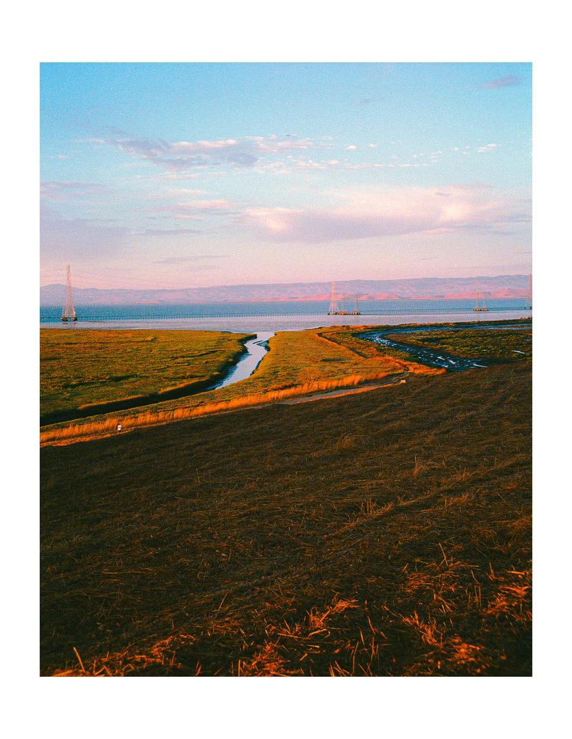 image 36140 by Glittering-Bar5453