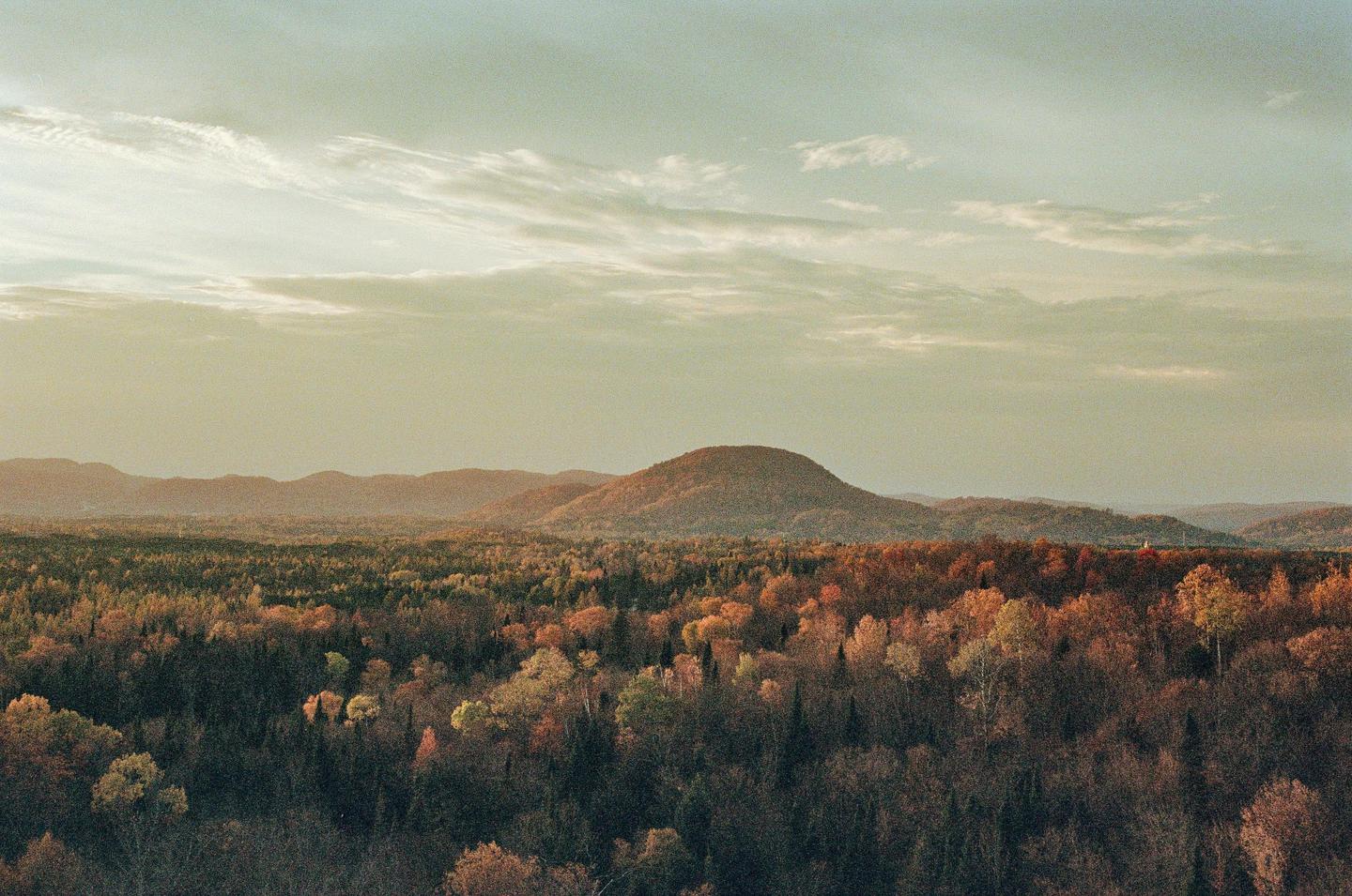 image 35949 by Positive-Presence192