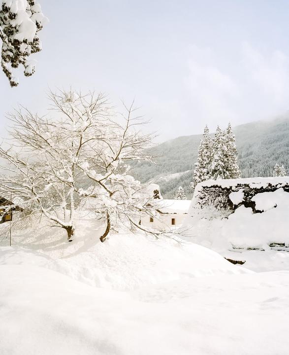 a snow day in japan [mamiya 7 + portra 400]