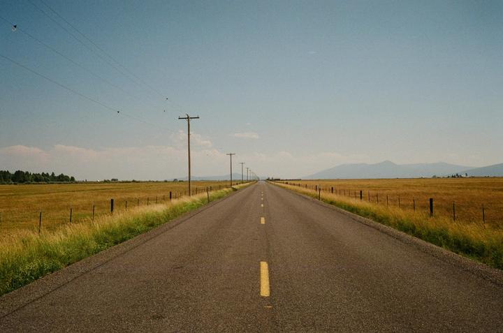 Composition 1 or 2? / Minolta Hi-Matic 7s II / Gold 200