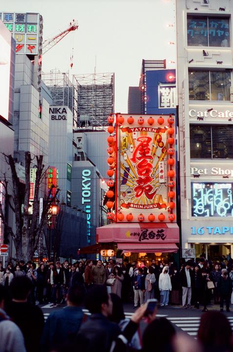 Kabukicho, Tokyo — Minolta X700, Minolta MC 28mm 2.8, Cinestill 800T +1