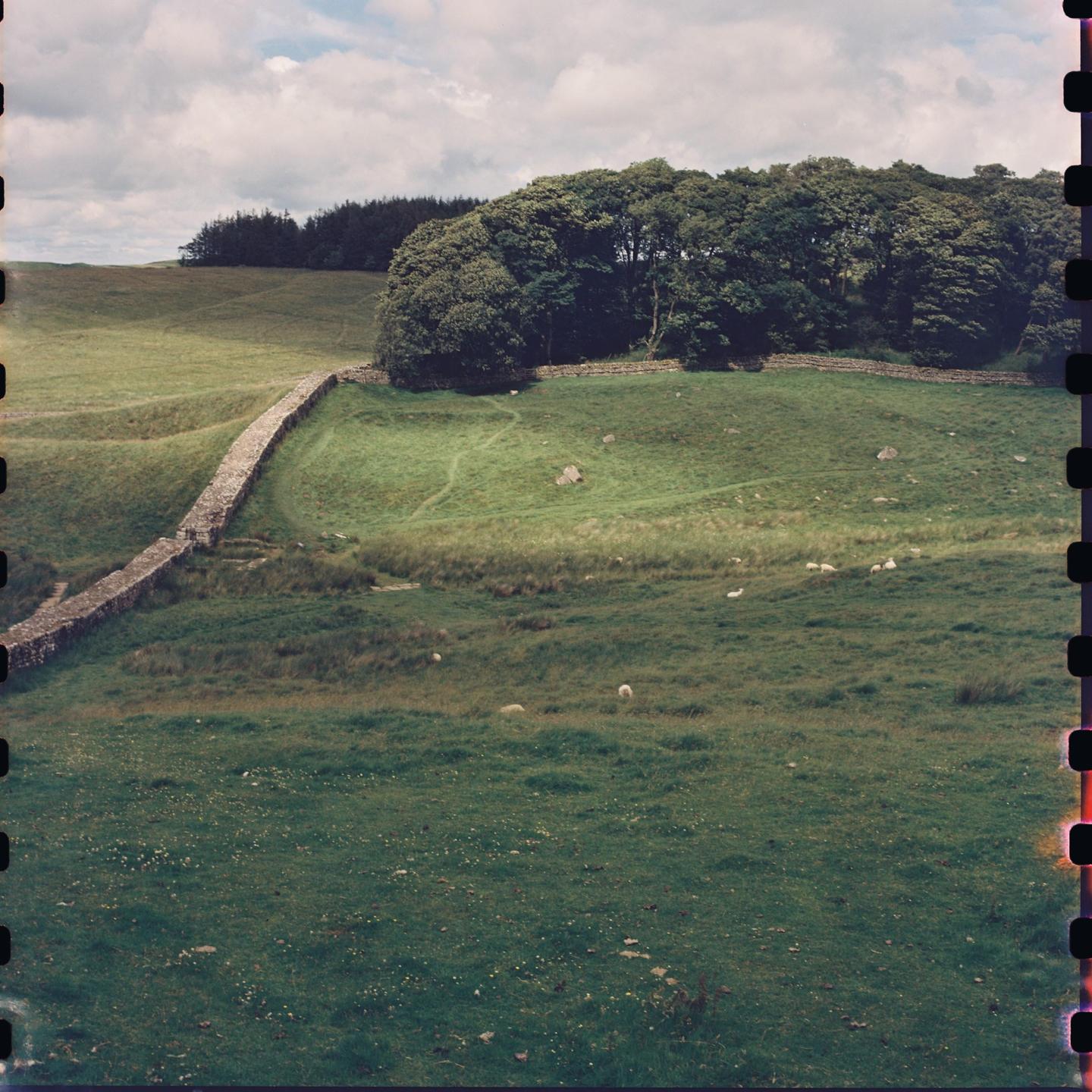 image 35946 by psbirch