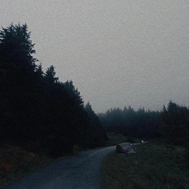 Some photos I made on my hike