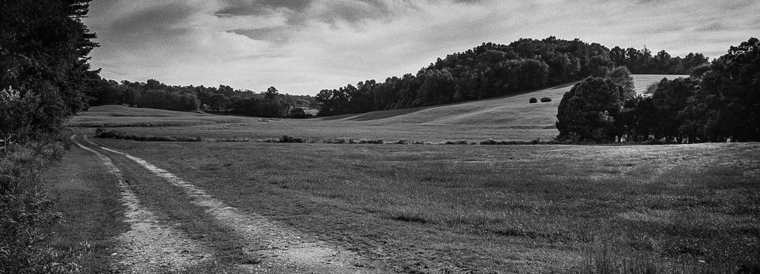 image 35229 by Normalisrelative