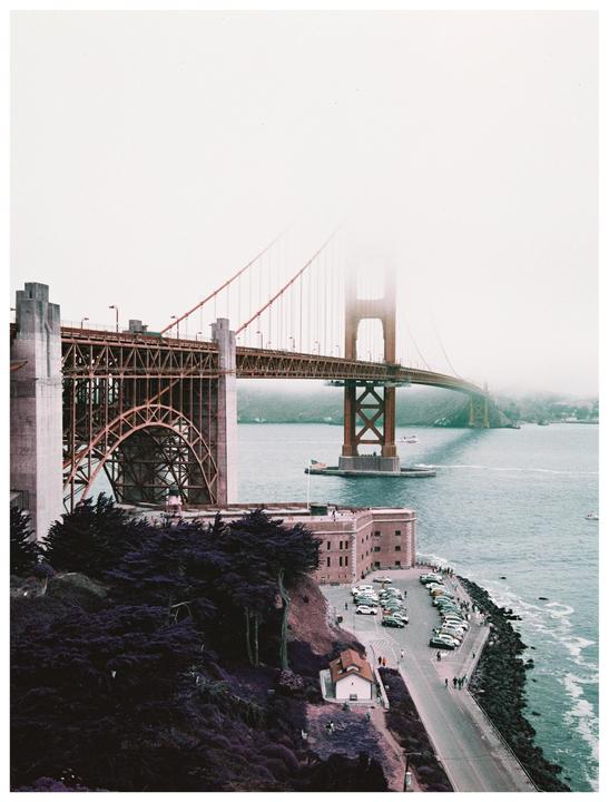 San Francisco in Lomo purple. Fuji GA645i