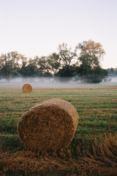 Early morning somewhere in Poland