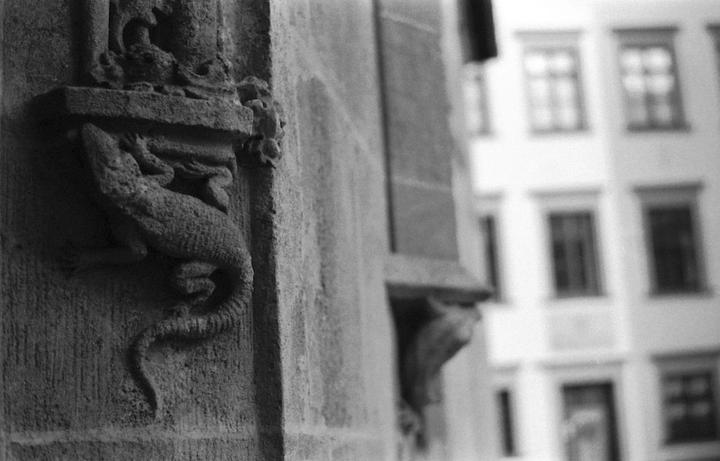 A stone carving of a lizard is visible on a building facade with blurred windows in the background.