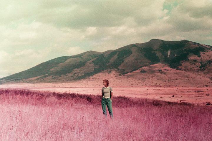 Purple Field | Minolta SRT Super | Lomochrome Purple 100