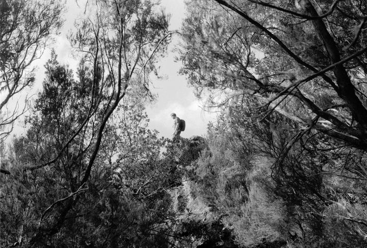 A man with a backpack stands on a rocky outcrop surrounded by dense foliage and trees.