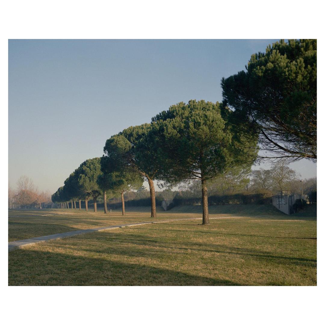 Ravenna at sunrise — Mamiya 7, 80mm, Portra 400
