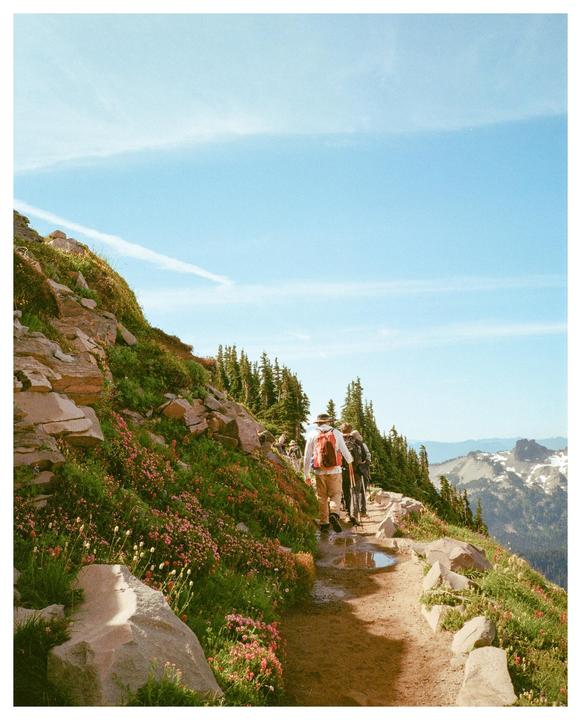 Summer Hike at Rainer | Pentax K1000, Kodak Ultramax 400