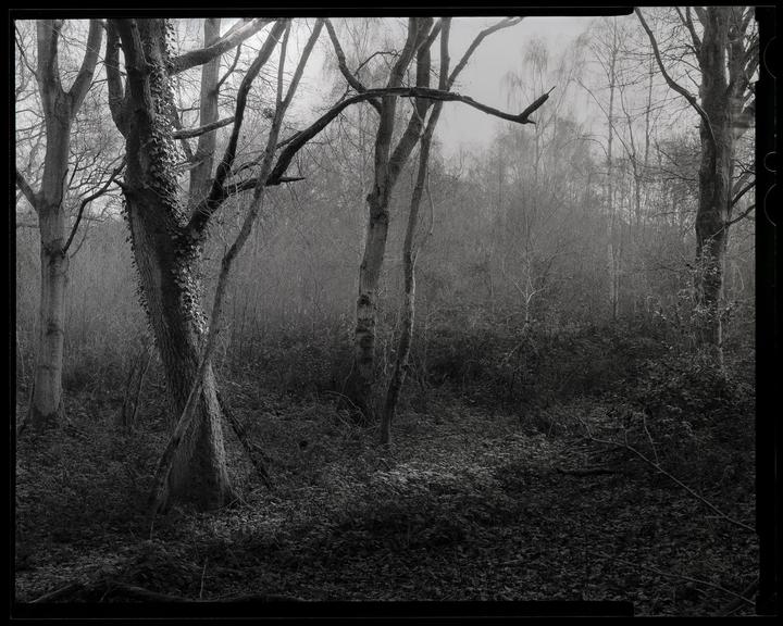Hirst Hill II, Chamonix 45n-1, Caltar 210mm, Ilford FP4
