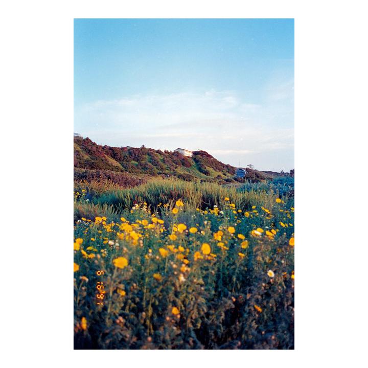 Coastal Scenes | Contax T2 + Cinestill 800t