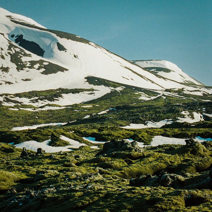 I'm tired of seeing moody grey Iceland shots. Here's some color from our annual sunny day. (Minolta XD11, 80-200mm f/4, Portra 800)