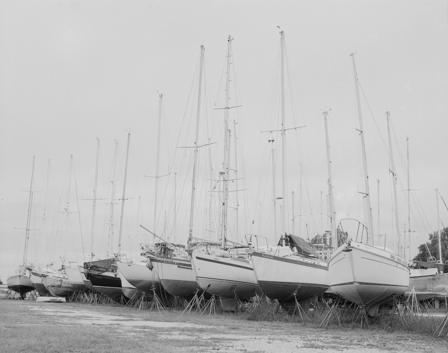 A line of sailboats is dry-docked on land, supported by stands.