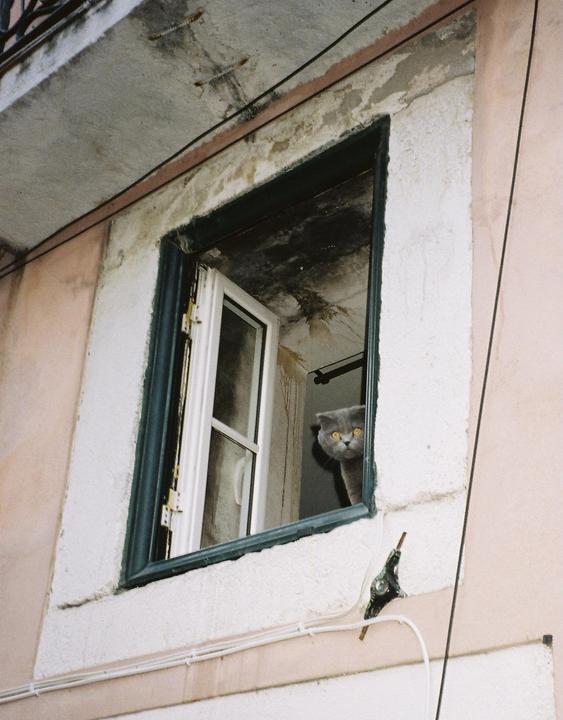 Nikon L35AF / Portra 400