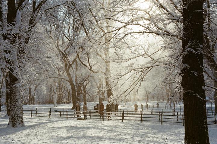 Central Park Snow Day [Nikon FE2, 50mm f/1.4, Ultramax]