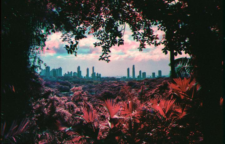 Panamá [Minolta srt201, Rollei infra 400 (trichrome)]