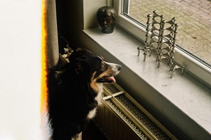 My first roll of kodacolor 200