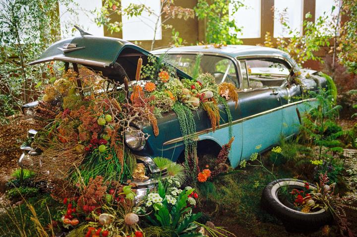 Melbourne Flower Show [Leica MP | Summilux 35mm | Kodak Gold]