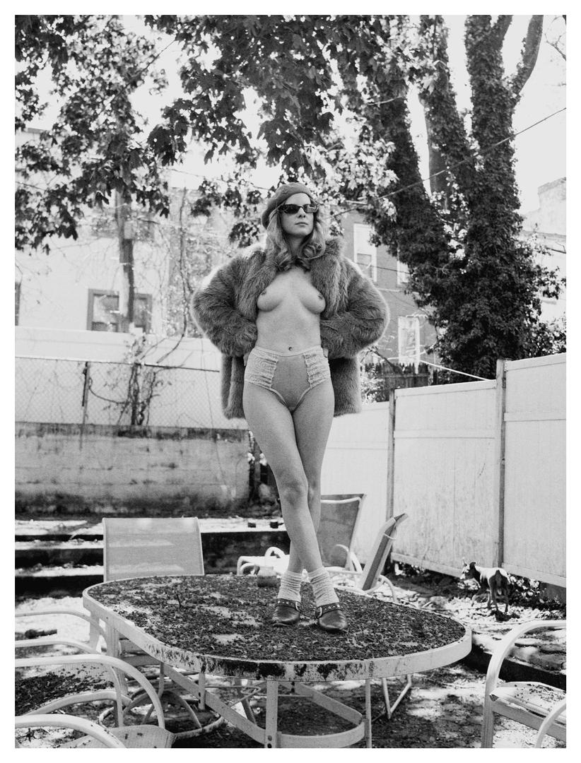image 6400 by Cliftonloosier