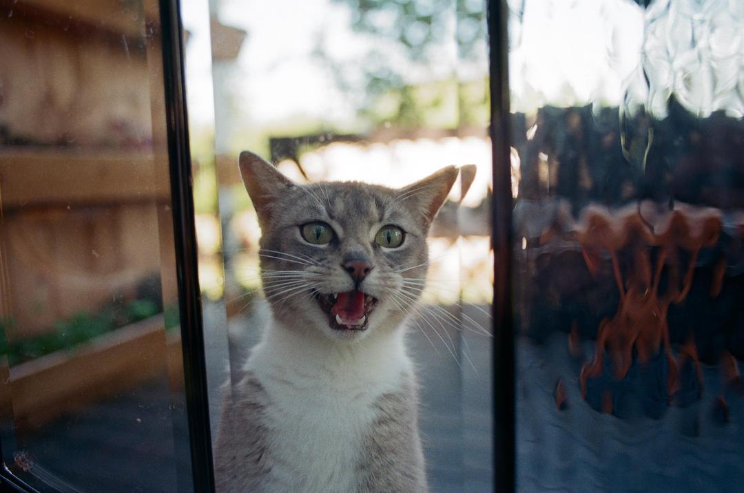 image 35917 by Silly_Candle9914