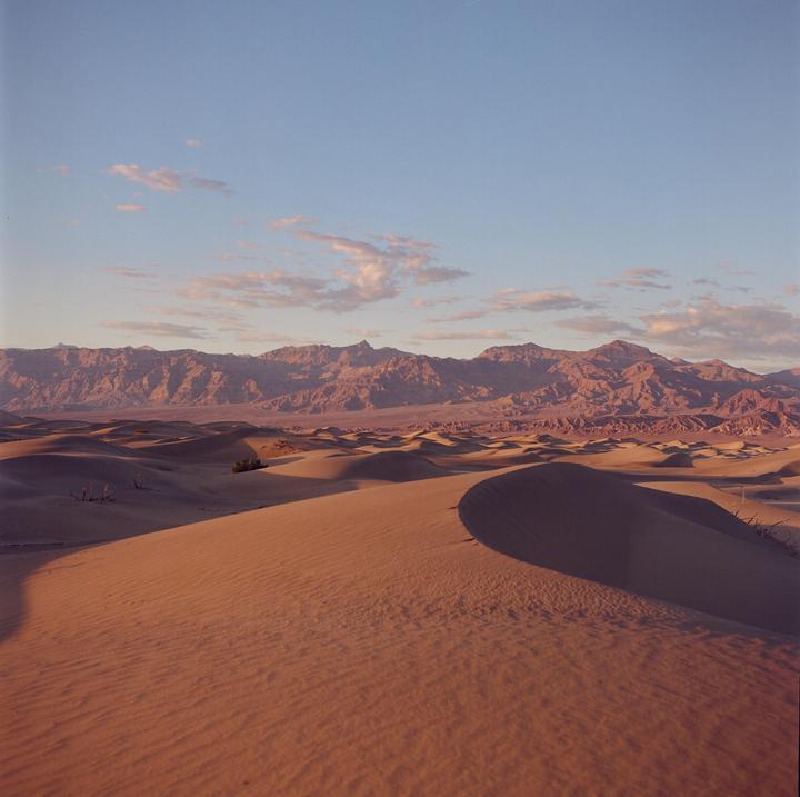 Hasselblad 500cm, 80mm f2.8 - Gold 200