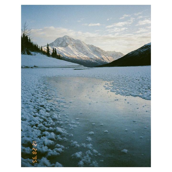 Past Year [Nikon FE2 50, RZ67 110, Konica BM201; Portra/Gold]