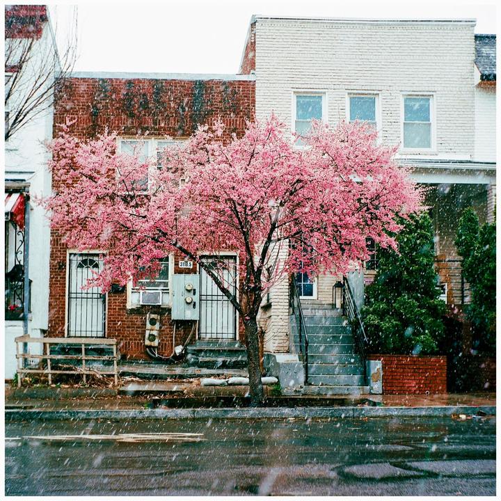 Some medium format shots from the last few months. Seagull 4A, mix of Portra 400 and Cinestill