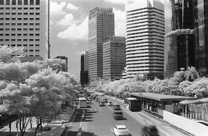 A busy street with cars and buses is lined with trees and tall buildings under a cloudy sky.