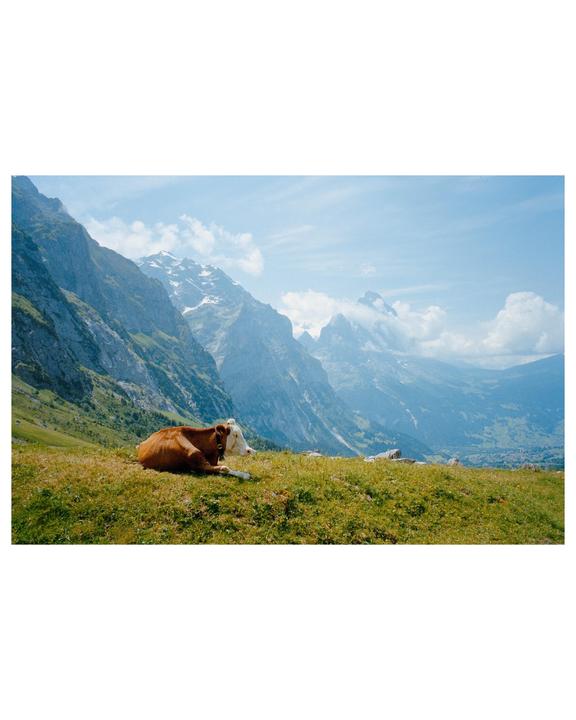 Alpine Summer [Leica M6, Portra 400, 28mm Elmarit.]