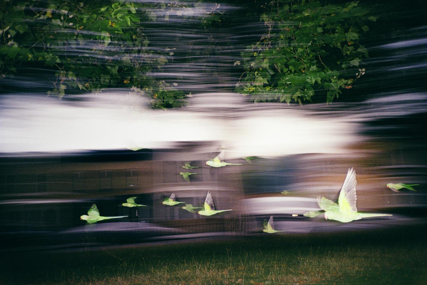 image 35396 by Accomplished-Act-978
