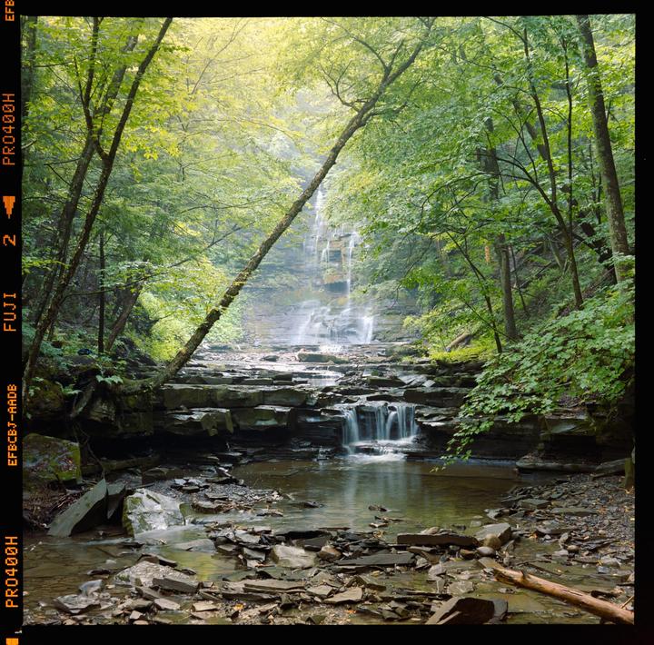 Fuji Pro400H and a Mamiya TLR