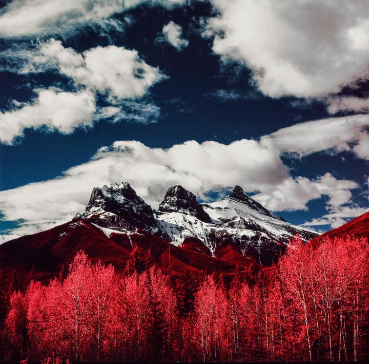 I was told this photo fucks. [500CM, 80 2.8, Aerochrome/Ektachrome]