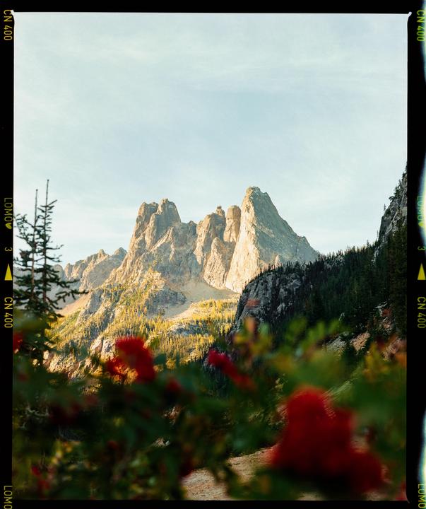 fall in the north cascades [mamiya rz67 pro, 110 f2.8, lomo 400]
