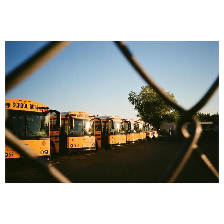 Just developed my first roll of Kodak Gold 200! I’m in love! | Olympus XA2