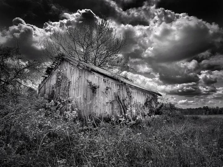 Chicken Coop, Mid West, USA