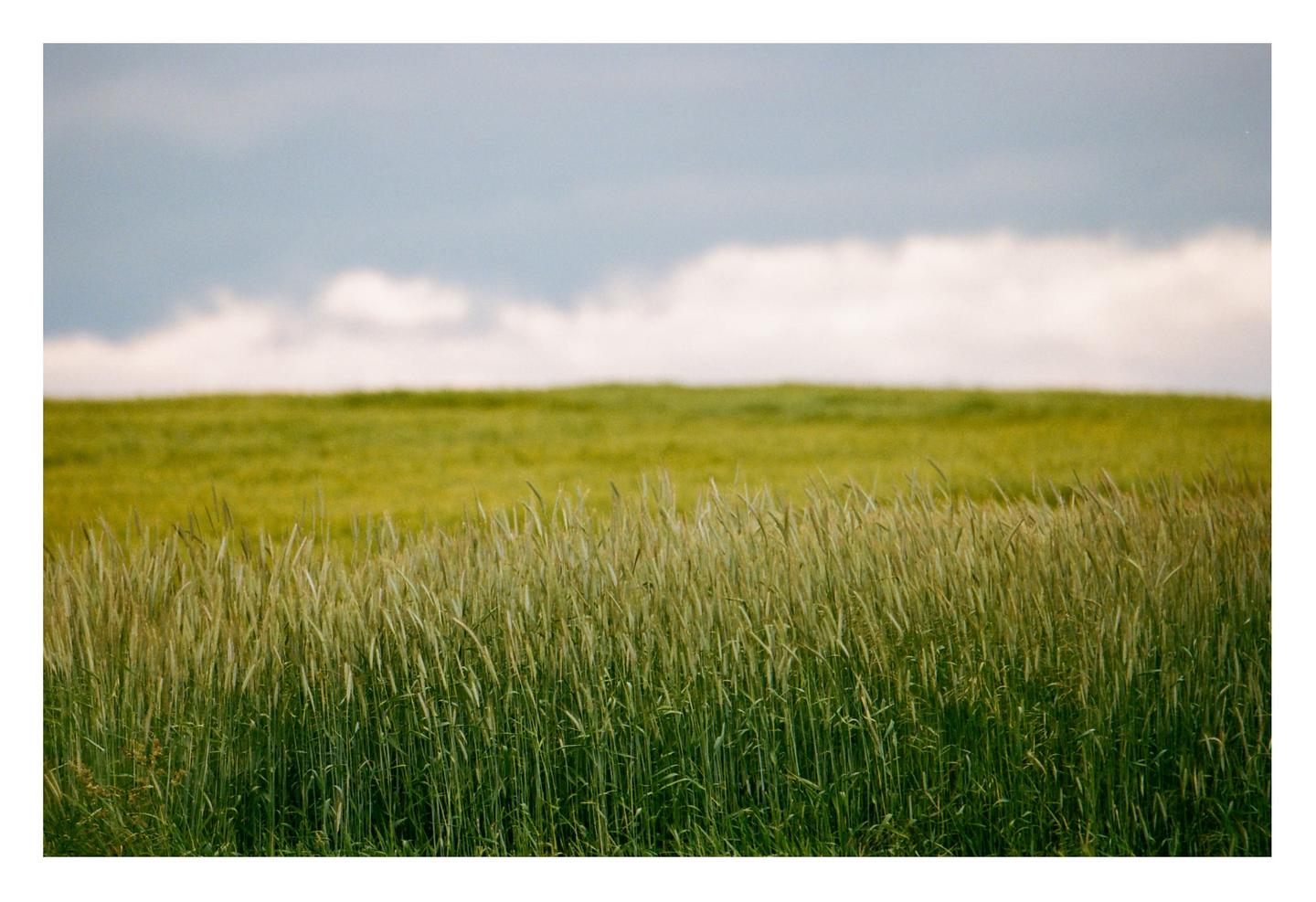 image 35264 by gloomygrain