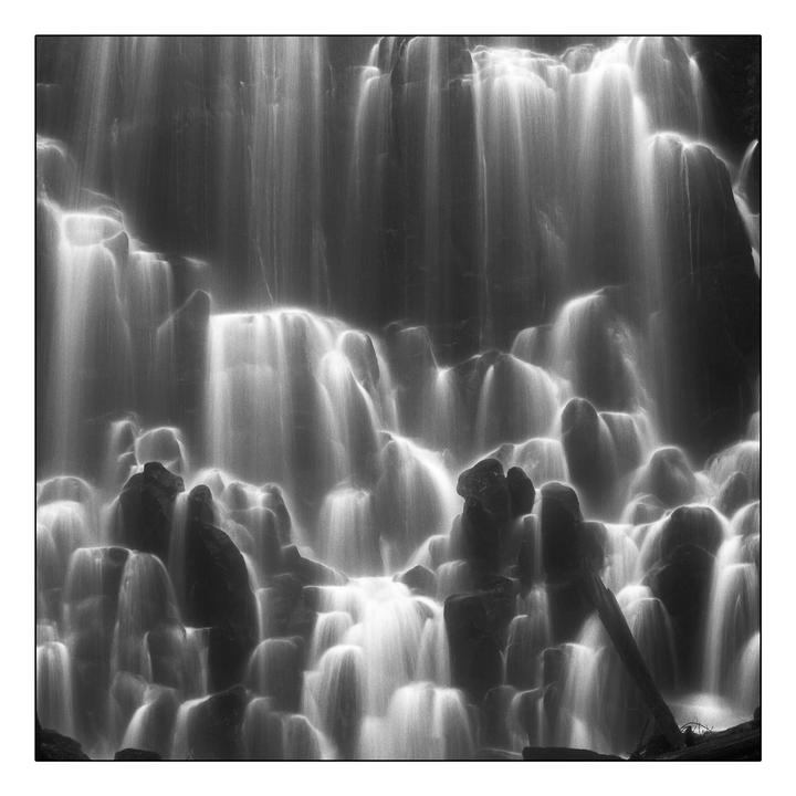 Mostly nature [Hasselblad 500C/M | Kodak T-Max 100 | 50mm, 150mm, and 250mm]