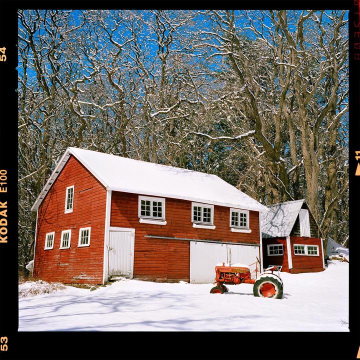The last snowfall [Hasselblad 500C/M, 80mm, Kodak Ektachrome 100]
