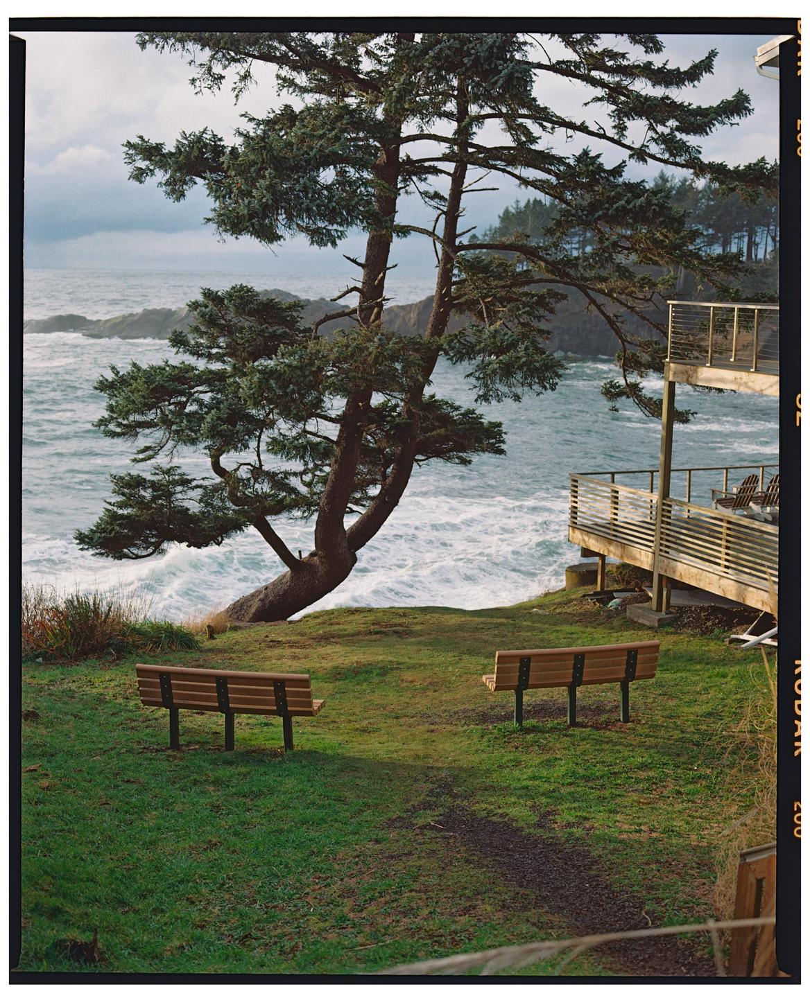 image 36210 by curly686