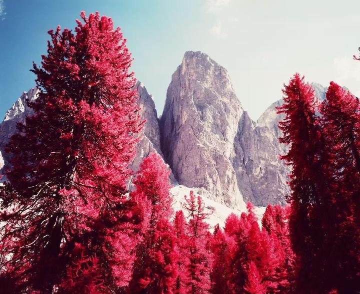 First roll of aerochrome